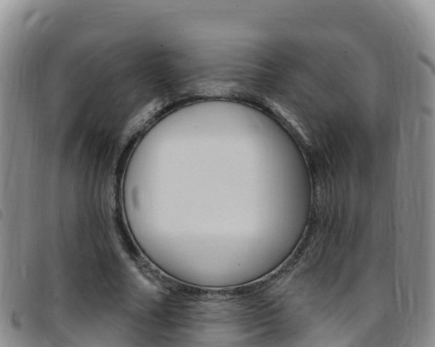 X0000097890682200803141005