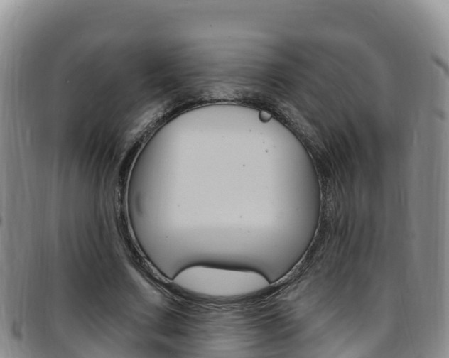 X0000097890683200803141005