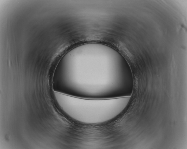 X0000097890684200803141005