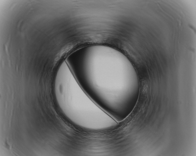 X0000097890685200803141005