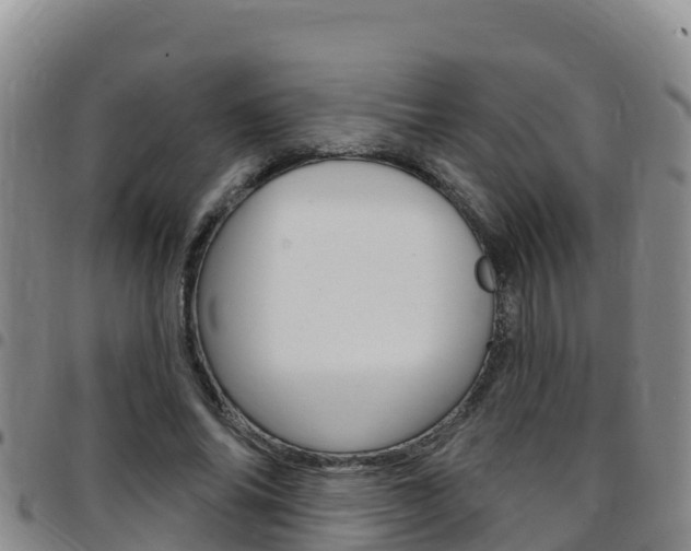 X0000097890686200803141005