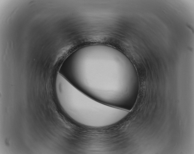 X0000097890688200803141005