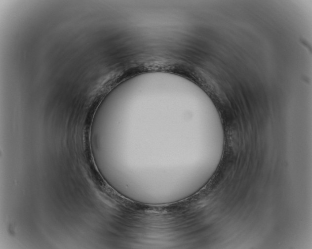 X0000097890690200803141005