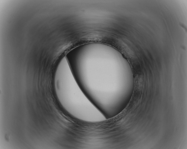 X0000097890692200803141005