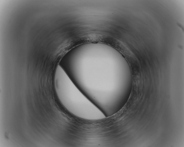 X0000097890696200803141005