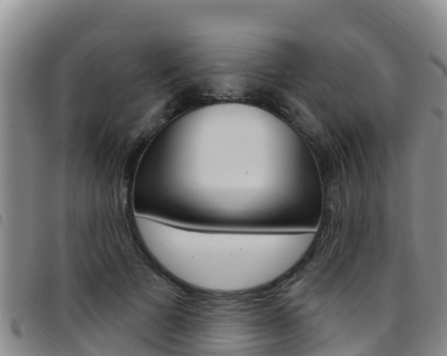 X0000097890697200803141005