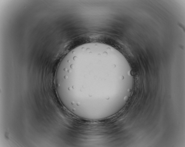 X0000097890698200803141005