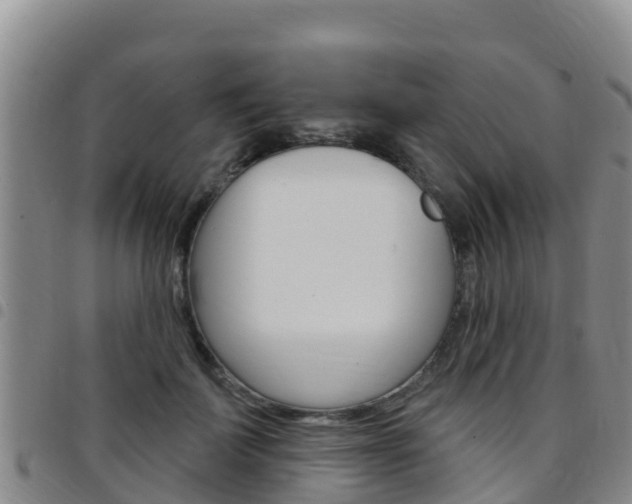X0000097890699200803141005