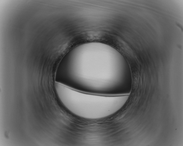 X0000097890700200803141005