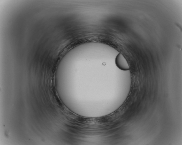 X0000097890702200803141005