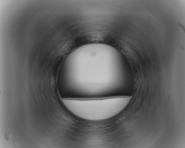 X0000097890704200803141005