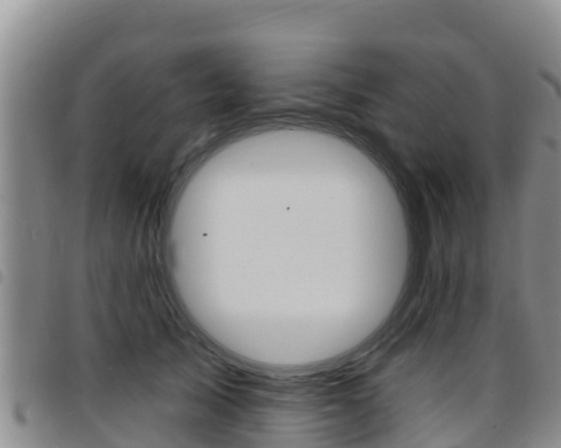 X0000097890705200803141005