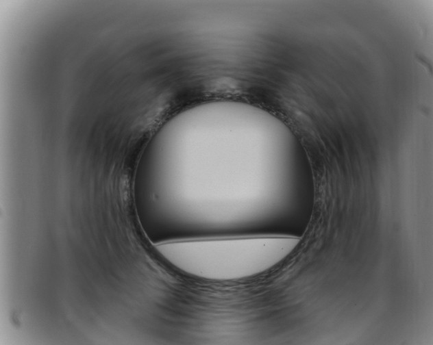 X0000097890708200803141005