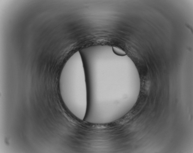 X0000097890710200803141005