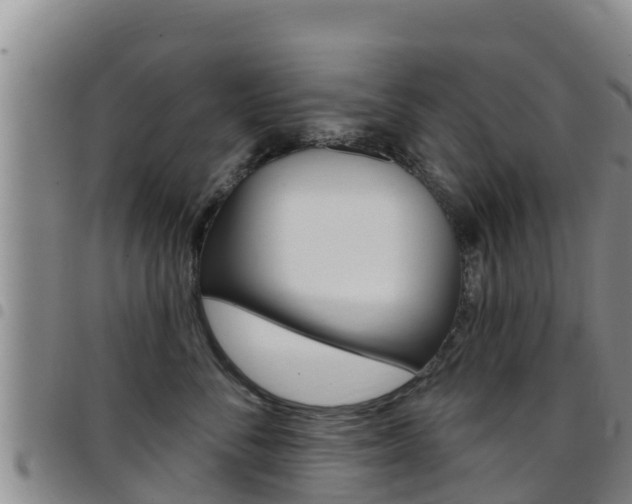X0000097890716200803141005
