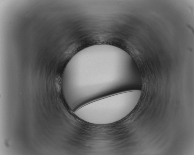 X0000097890719200803141005