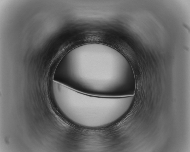 X0000097890722200803141004
