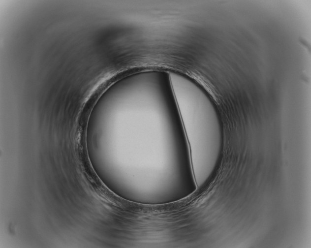 X0000097890723200803141004