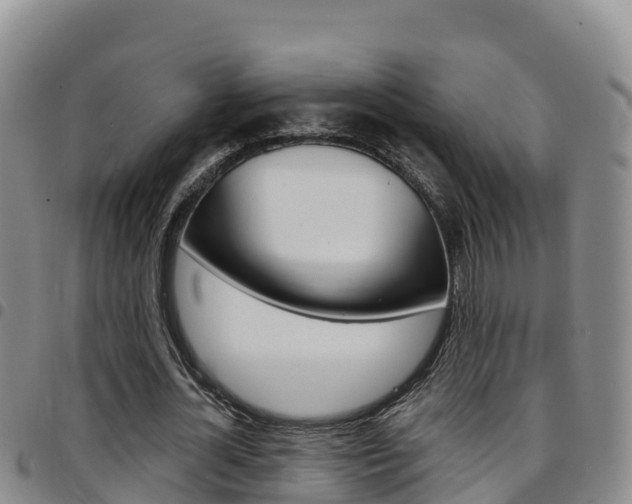 X0000097890724200803141004