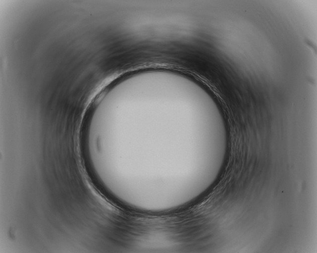 X0000097890726200803141004