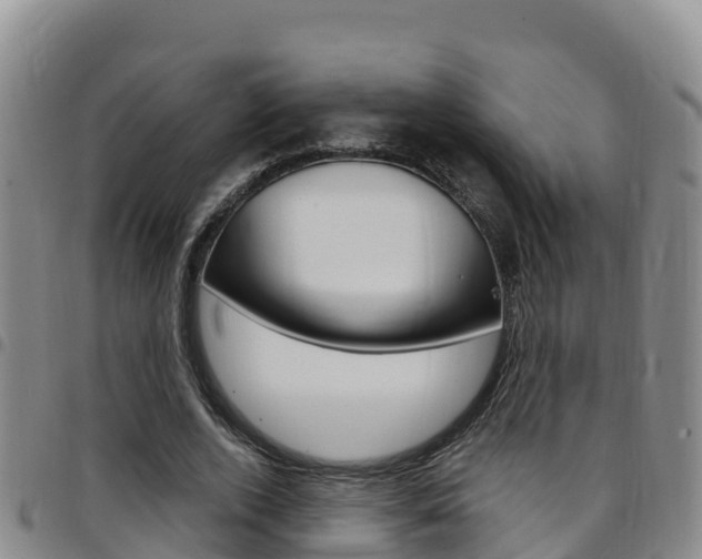 X0000097890728200803141004