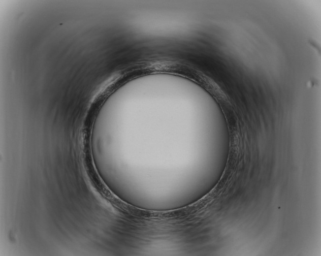 X0000097890730200803141004