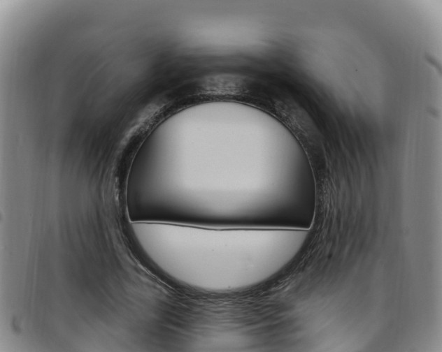 X0000097890731200803141004