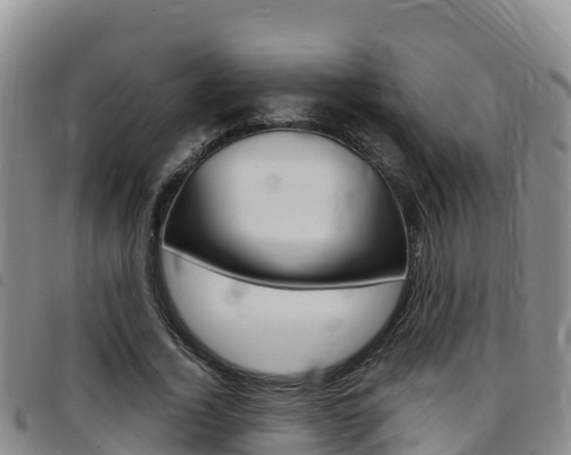 X0000097890732200803141004