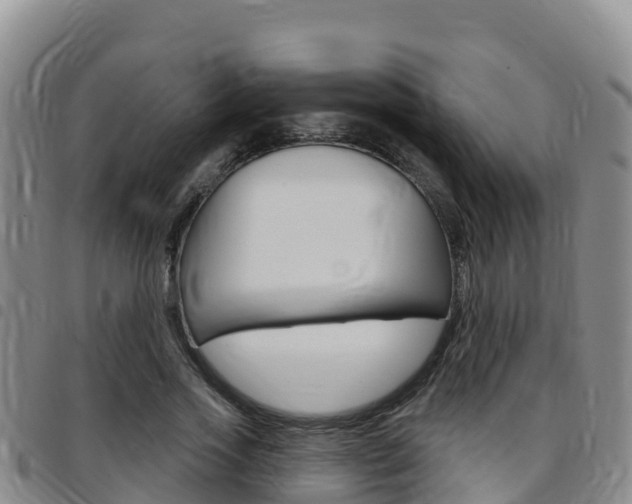 X0000097890733200803141004