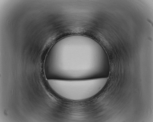 X0000097890736200803141004