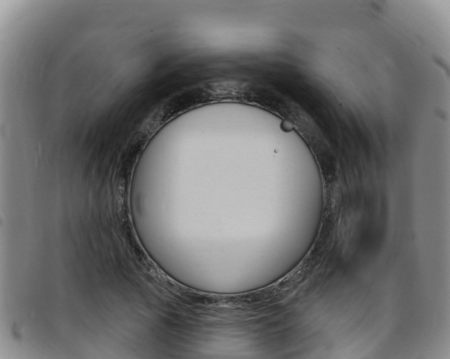 X0000097890737200803141004