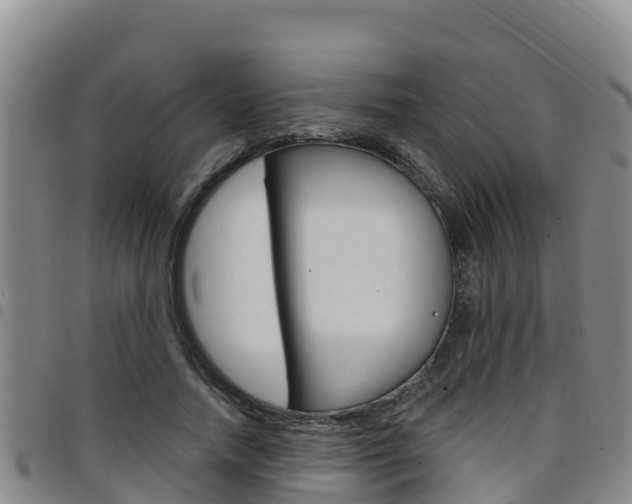 X0000097890738200803141004