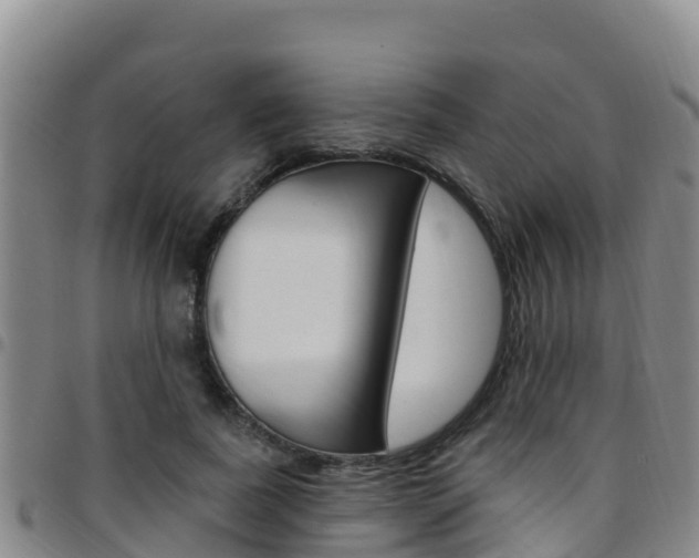 X0000097890739200803141004