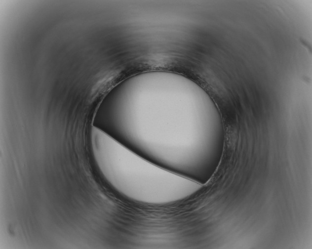 X0000097890740200803141004