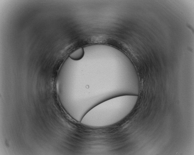 X0000097890741200803141004