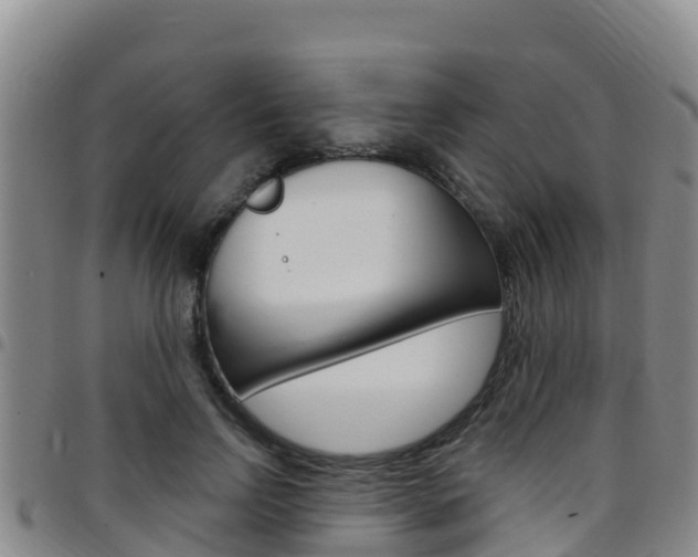 X0000097890742200803141004