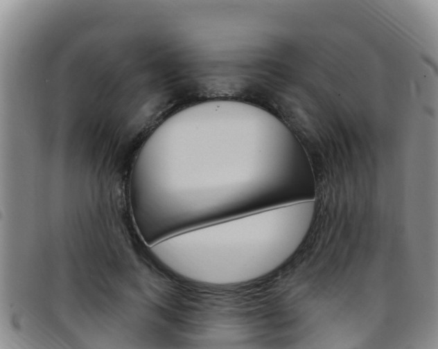 X0000097890743200803141004