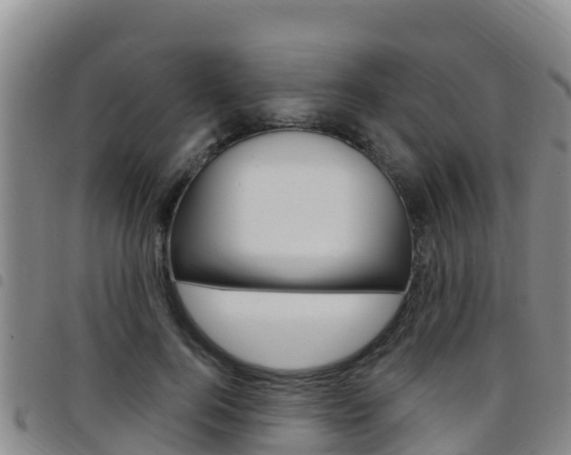 X0000097890744200803141004
