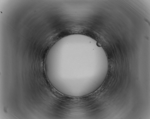 X0000097890745200803141005