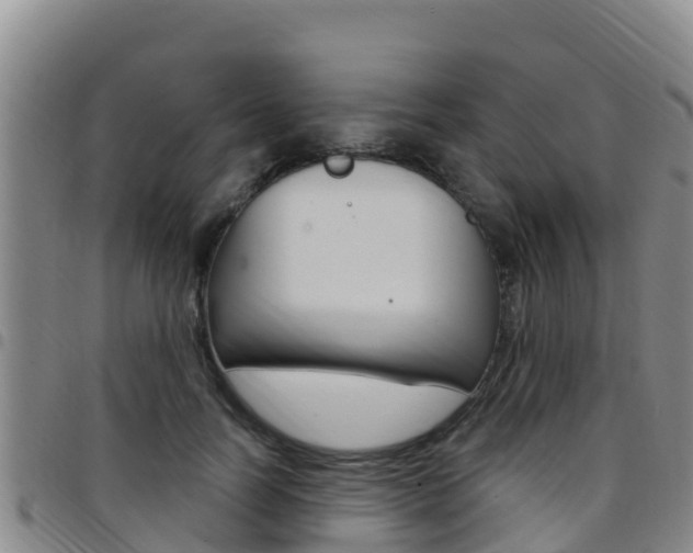 X0000097890746200803141005