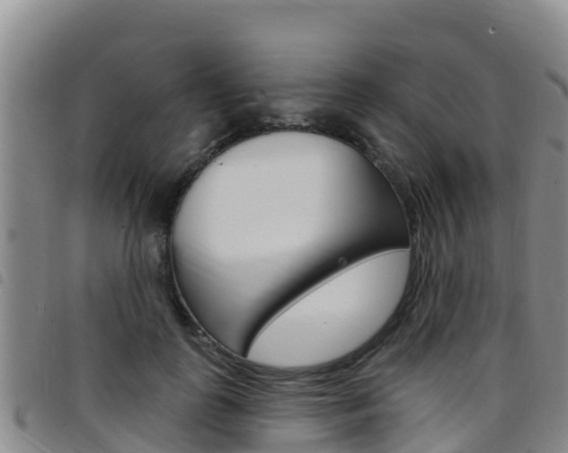 X0000097890747200803141005