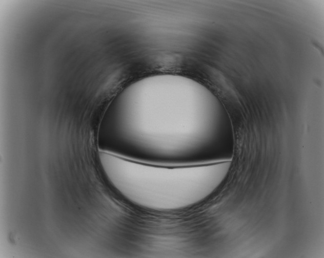 X0000097890748200803141005