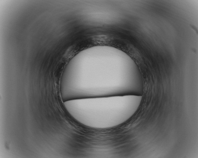 X0000097890749200803141005