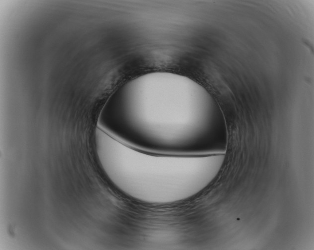 X0000097890750200803141005