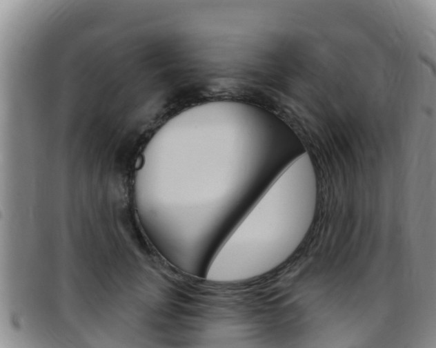 X0000097890751200803141005