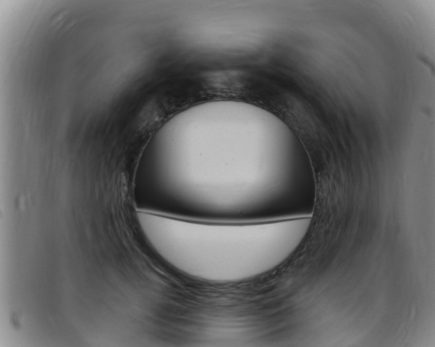 X0000097890752200803141005