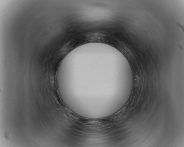 X0000097890753200803141005
