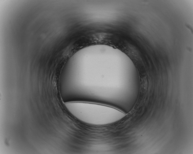 X0000097890754200803141005