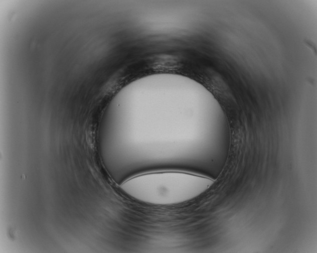 X0000097890755200803141005