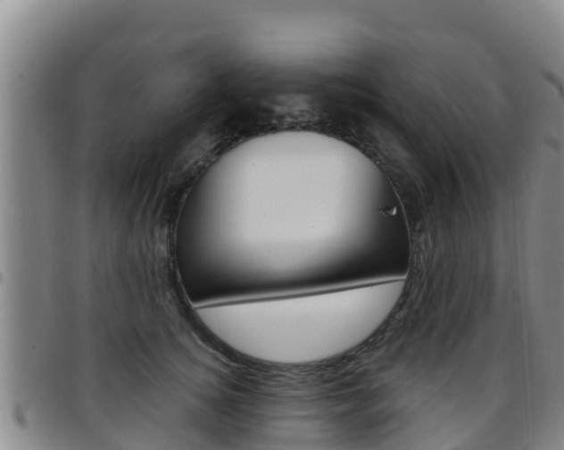 X0000097890756200803141005